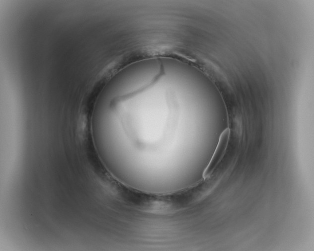 X0000113240308200909100928