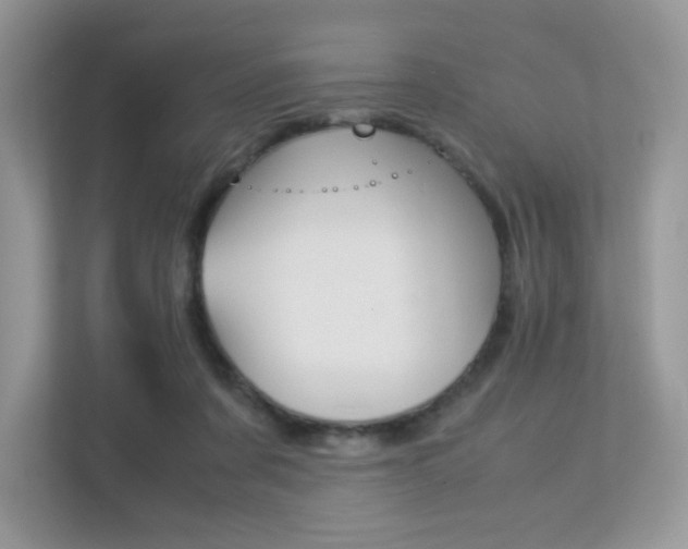 X0000113240311200909100928