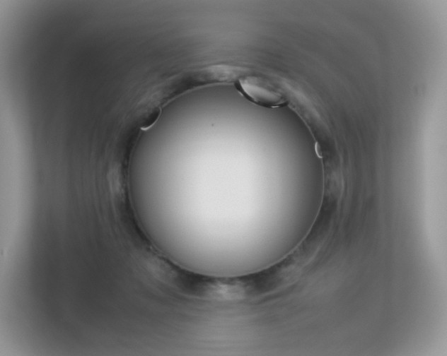 X0000113240317200909100928