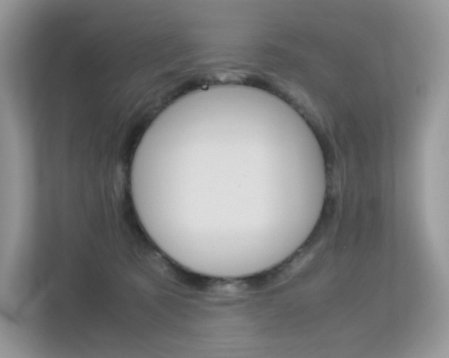 X0000113240321200909100928