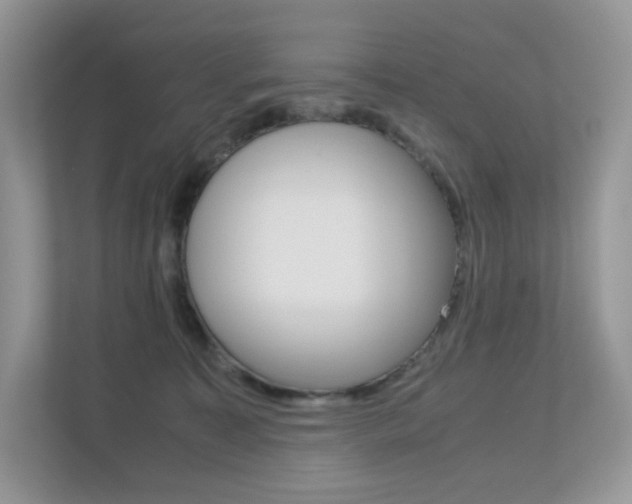 X0000113240323200909100928