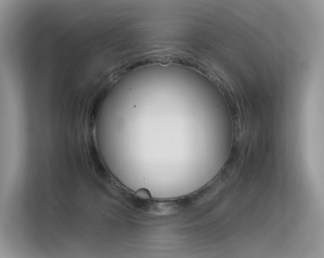 X0000113240324200909100928