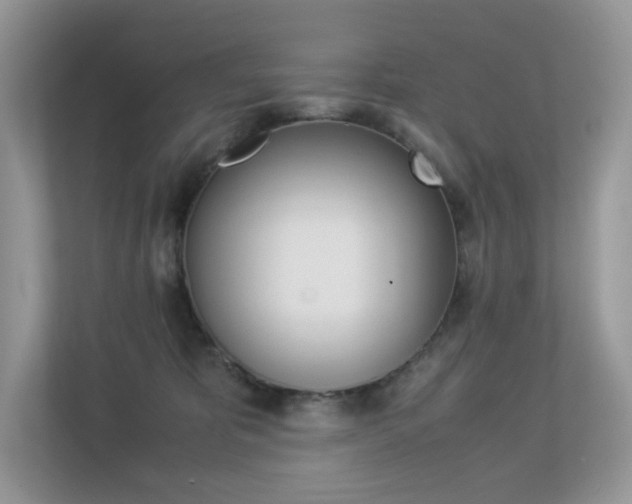 X0000113240325200909100928