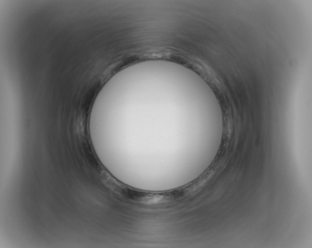 X0000113240326200909100928