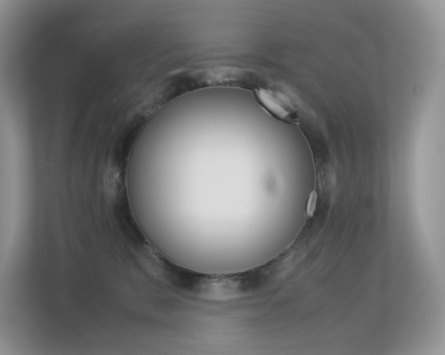 X0000113240327200909100928