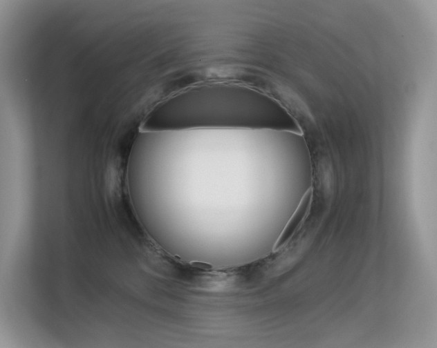 X0000113240328200909100928
