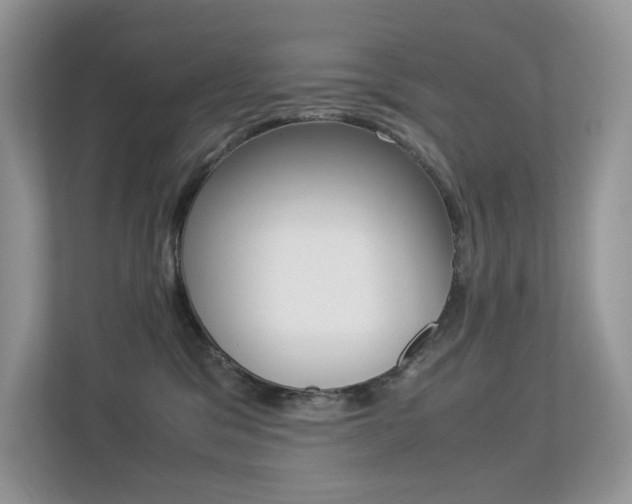 X0000113240329200909100928