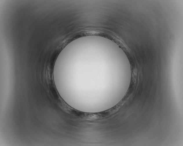 X0000113240330200909100928