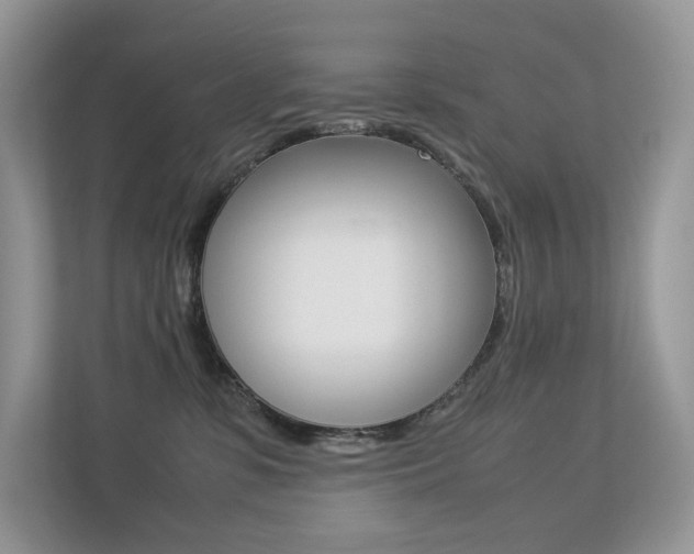 X0000113240331200909100928