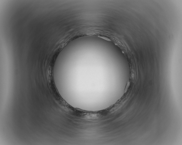 X0000113240332200909100928