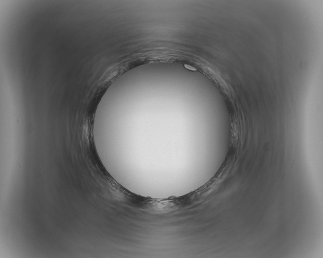 X0000113240333200909100928