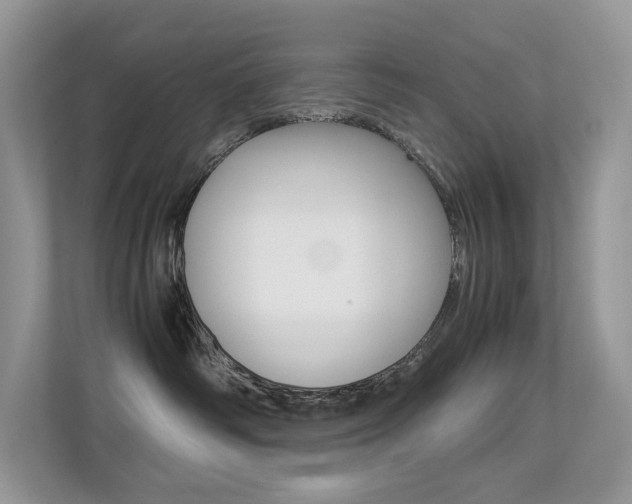 X0000113240334200909100928