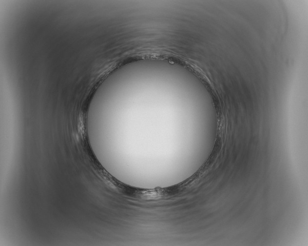 X0000113240335200909100928