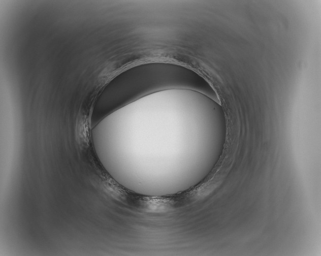 X0000113240336200909100928