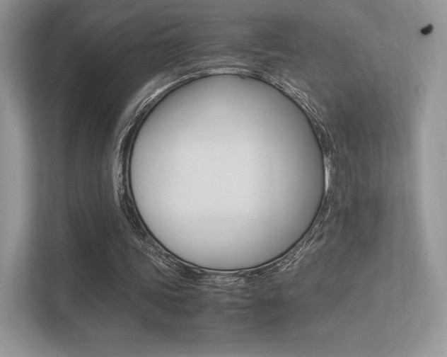 X0000113240339200909100927