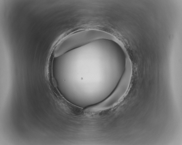 X0000113240340200909100927