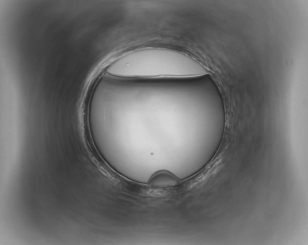 X0000113240341200909100927