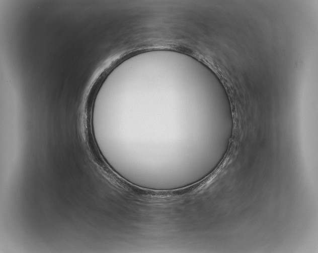 X0000113240342200909100927