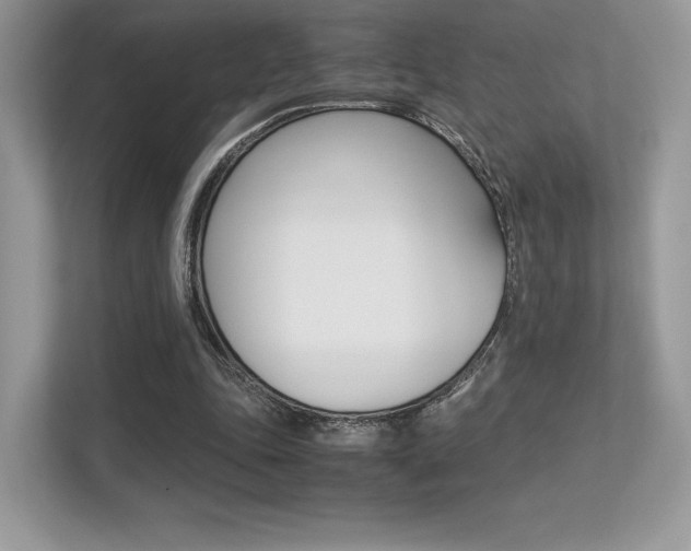 X0000113240343200909100927