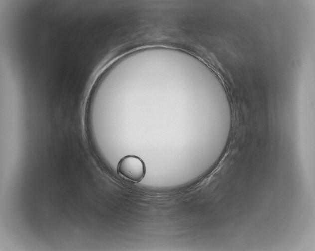 X0000113240344200909100927