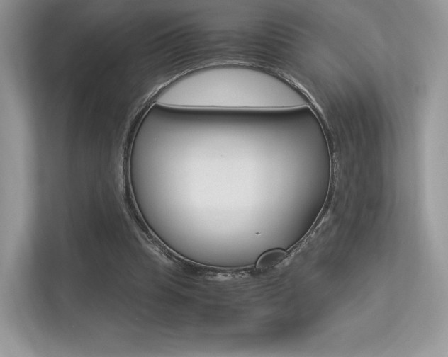 X0000113240345200909100927
