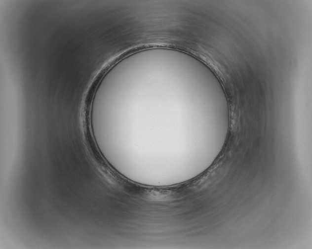 X0000113240346200909100927