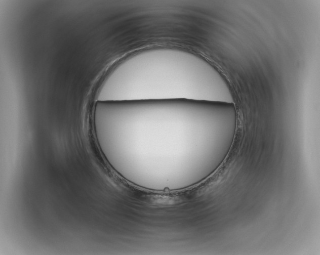 X0000113240347200909100927