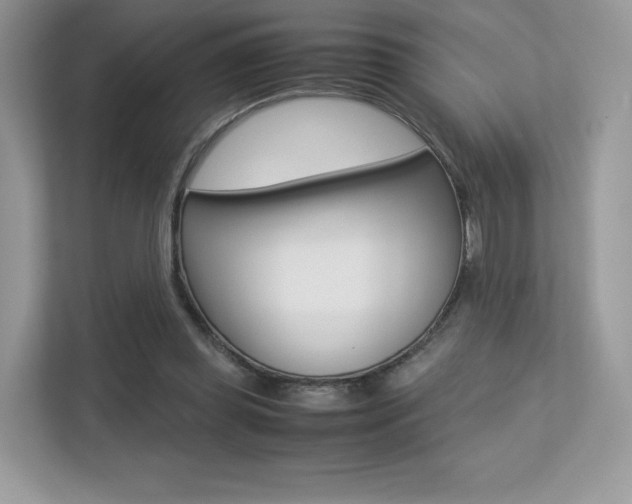 X0000113240349200909100927