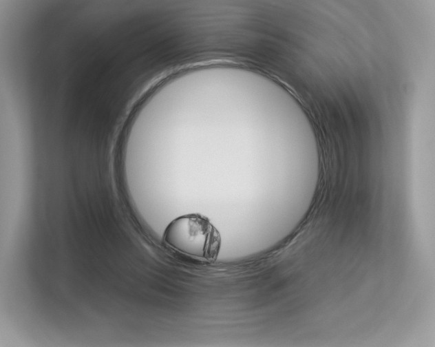 X0000113240350200909100927