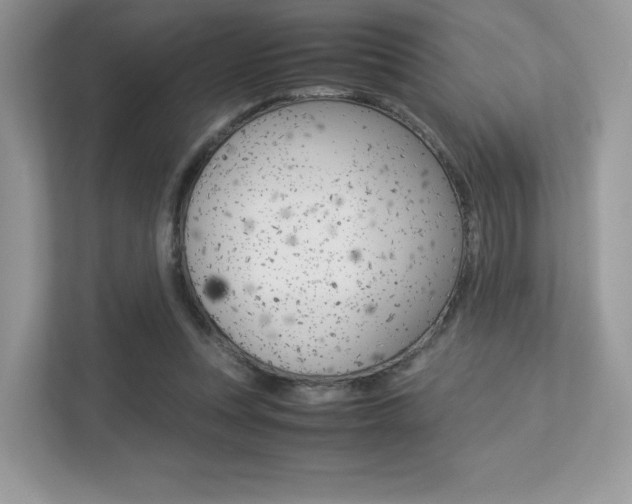 X0000113240351200909100927