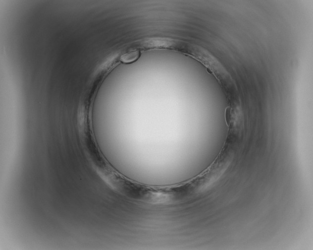 X0000113240352200909100927