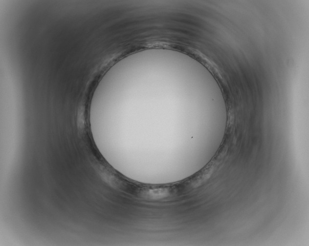 X0000113240353200909100927