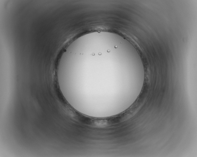 X0000113240355200909100927