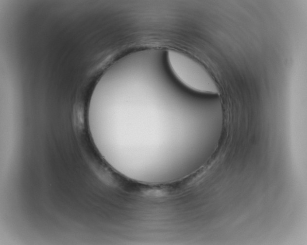 X0000113240358200909100927