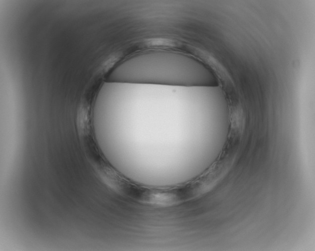X0000113240360200909100927
