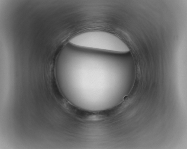 X0000113240364200909100927
