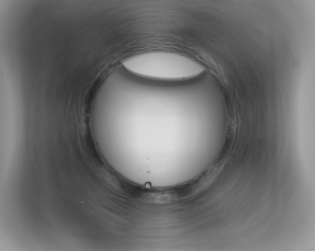 X0000113240366200909100927