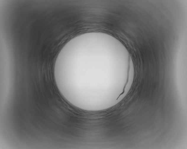 X0000113240376200909100927