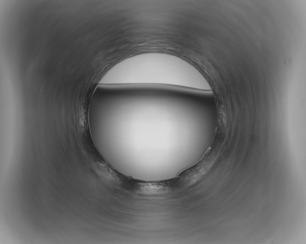 X0000113240380200909100928