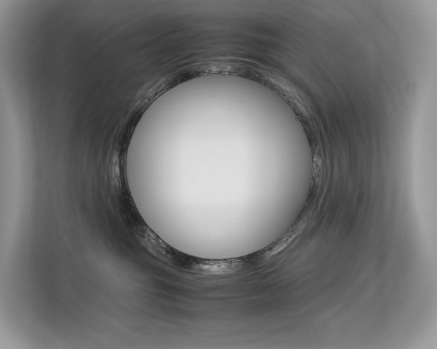 X0000113240381200909100928
