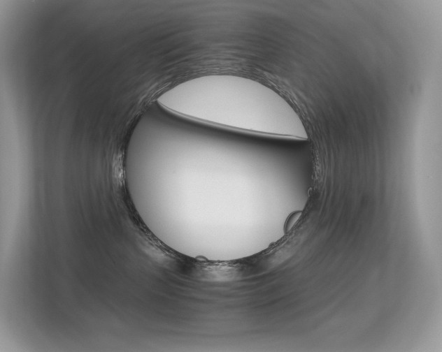 X0000113240383200909100928