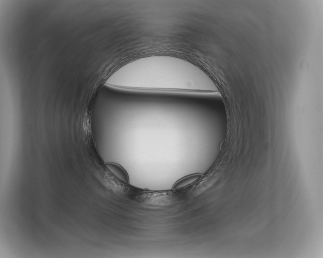 X0000113240384200909100928