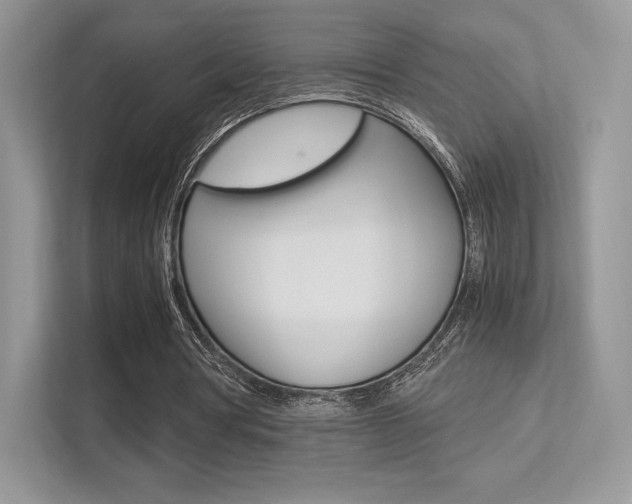 X0000113240386200909100927