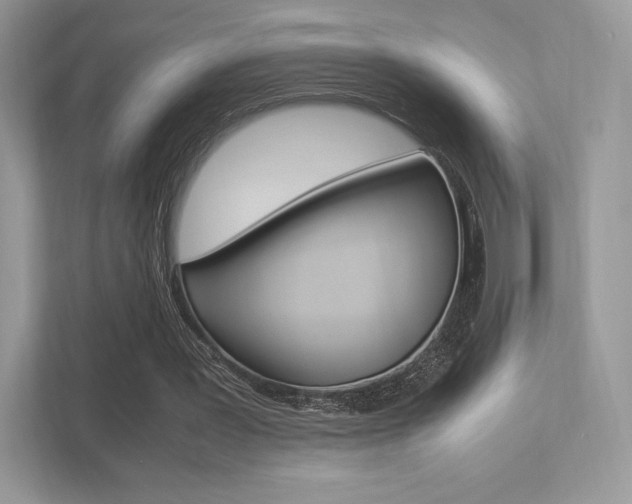 X0000113240387200909100927