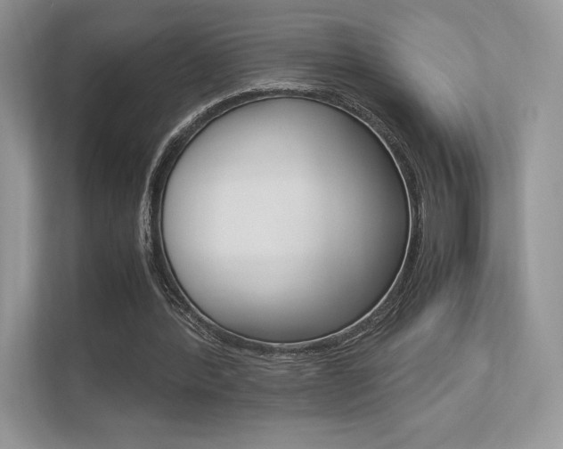 X0000113240388200909100927