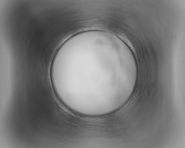 X0000113240389200909100927
