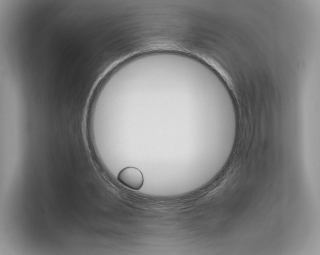 X0000113240391200909100927