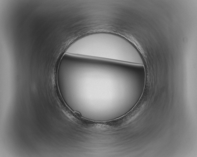 X0000113240393200909100927