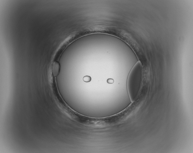 X0000113240395200909100927