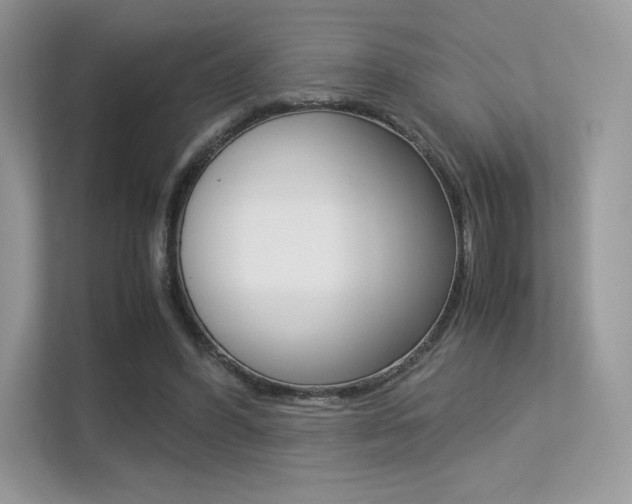X0000113240396200909100927